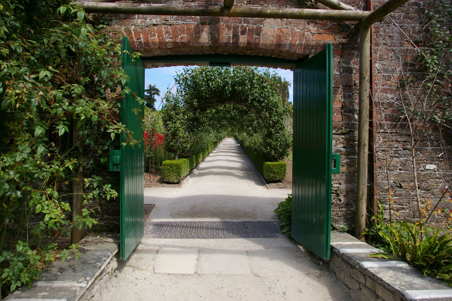 Inviting garden entrance with open green gate leading to a lush pathway lined with plants